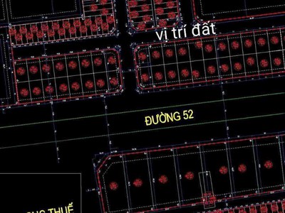 Bán đất biệt thự khu Vịt Cỏ Hồ Sen, ph Tân Bình, TP Hải Dương, 198m2, mặt tiền 11m, vị trí đẹp, giá 1