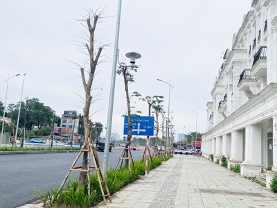 Chính chủ bán lô góc louis city 3 đại mỗ, 120m, 5 tầng, 2 thoáng trước sau, vỉa hè rộng, giá 50 tỷ 4