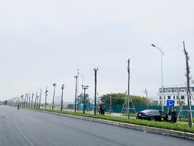 Chính chủ bán lô góc shophouse liền kề louis city 3 đại mỗ, 240m, 5 tầng, 2 thoáng trước sau, vỉa 4