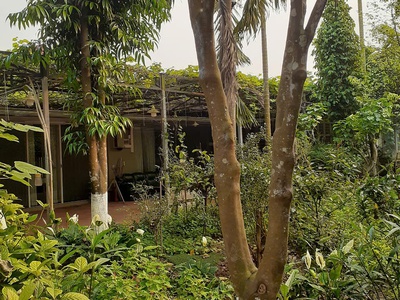Cho thuê đất kèm nhà xưởng, 200m2, 300m2, 500m2, an dương, yên phụ, tây  hồ. 0