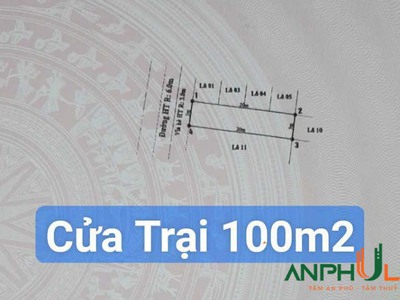 Bán siêu phẩm tuyến 2 khu đấu giá Cửa Trại, phường Thuỷ Đường, TP Thuỷ Nguyên, Hải Phòng 5
