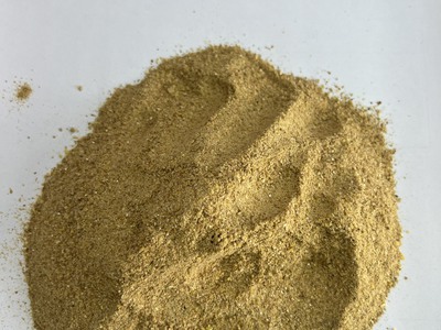 Bắp len men 30 đạm dcvb 0