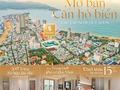 Trực tiếp chủ đầu tư giá ưu đãi chỉ 300 triệu cho căn chung cư cao cấp Simona Heights Quy Nhơn 0