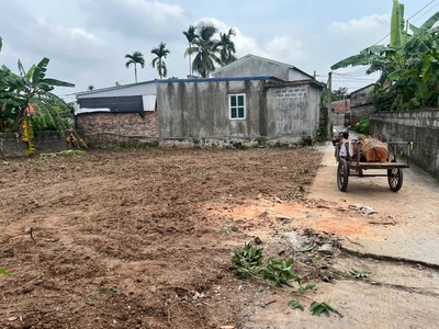Bán đất Hạ Trang, Bát Trang, An Lão, HP 2