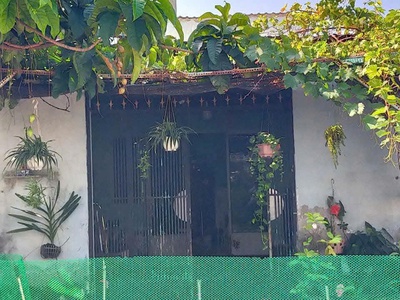 Chỉ 1 tỷ 250tr nhà cấp 4 SHR 5x152/ ngắn nhựa gò hưu xã Mỹ Hạnh Nam Long An 1