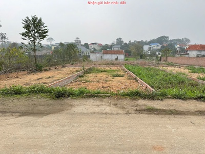Bán đất vàng tổ 10, quang minh, mê linh - đầu tư sinh lời, an cư lý tưởng 1
