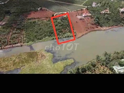 Hot hot hot     cần bán lô đất view hồ, đồi chè cực đẹp, đã có thổ cư 0