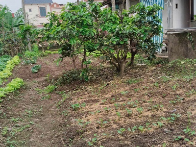 Cơ hội sở hữu lô đất đẹp phúc lợi   sài đồng-long biên 0