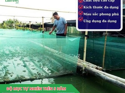Lưới ô vuông giải pháp đa năng 0
