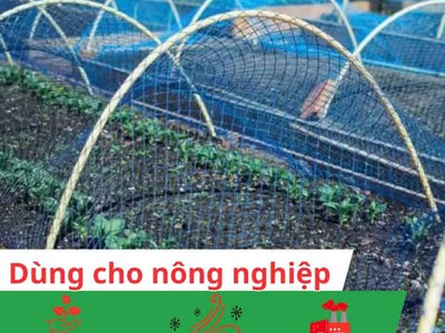 Lưới ô vuông giải pháp đa năng 3