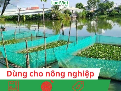 Lưới ô vuông giải pháp đa năng 4