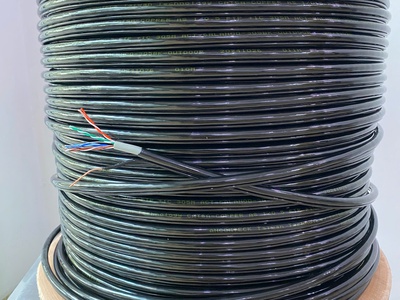 Cáp mạng CAT6A ngoài trời bọc bạc chống nhiễu FTP - có dây chịu lực gia cường - Outdoor ACT-6ALANOD 1