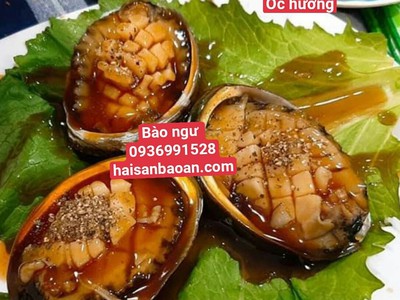 Bào ngư quảng ninh chuẩn ngon mời khách 0