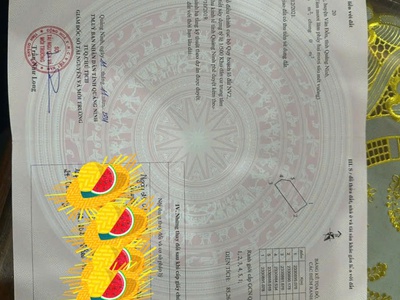 Cơ hội vàng sở hữu đất nền kđt vương long vân đồn   giá tốt, vị trí đẹp, pháp lý rõ ràng 0