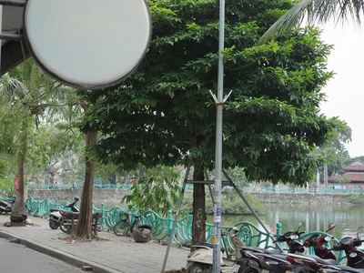 Cho thuê cửa hàng mặt tiền phố Yên Hoa 5