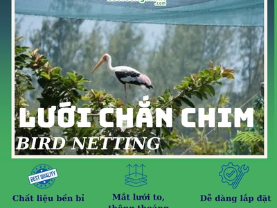 Lưới chắn chim 1