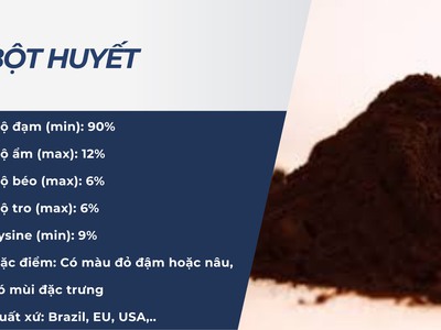 Bột Huyết 90 Đạm  srth 0