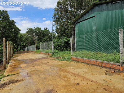 Bán 17.000m đất cà phê - buôn ma thuột - đắk lắk, 7.6 tỷ. gần hồ sinh thái ea kao. 3