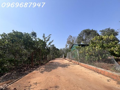 Bán 17.000m đất cà phê - buôn ma thuột - đắk lắk, 7.6 tỷ. gần hồ sinh thái ea kao. 2