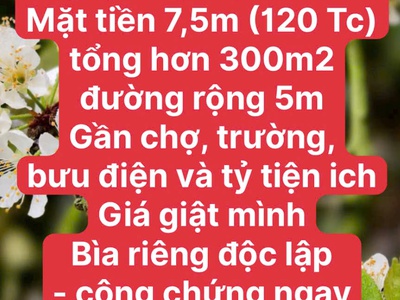 Cần ra một số mảnh đất đẹp tại mộc châu 4