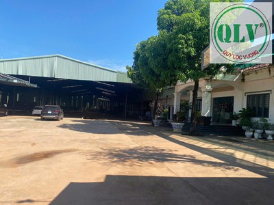 Cho thuê 15.000m2 xưởng  giá 2,8 USD/m2  tại Bến Cát, Bình Dương 3