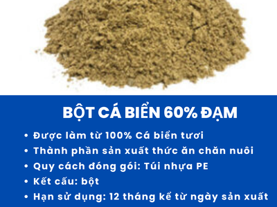 Bột cá biển 60 đạm 0