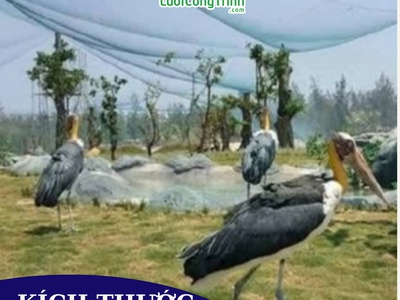 Lưới chắn chim 1