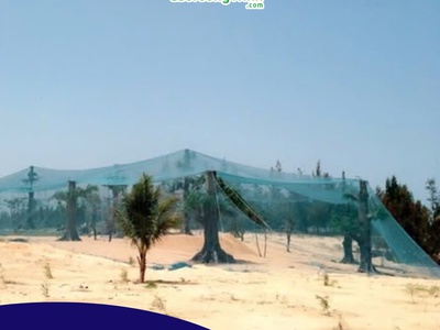 Lưới chắn chim 2