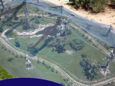 Lưới chắn chim   giải pháp bảo vệ hiệu quả 2