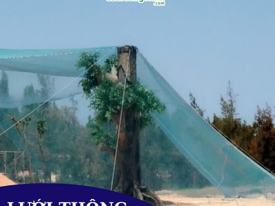 Lưới chắn chim   giải pháp bảo vệ hiệu quả 4