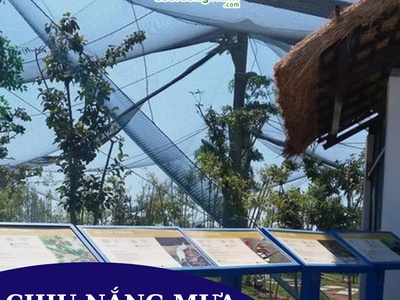 Lưới chắn chim   giải pháp bảo vệ hiệu quả 5