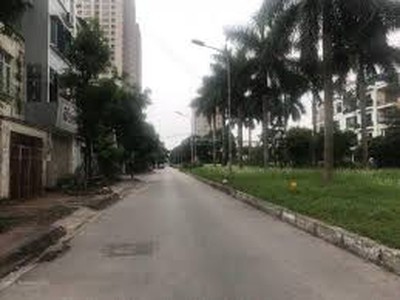 Cho thuê nhà LK Tân Tây Đô, 80m2 1