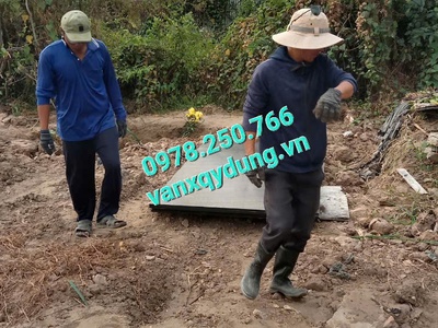 Ván cốp pha phủ phim giá rẻ tại Vĩnh Long 2