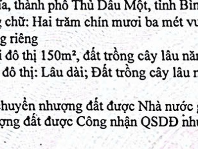 Bán đất đường Nguyễn Tri Phương, Phường Chánh Nghĩa, TP Thủ Dầu Một. 3