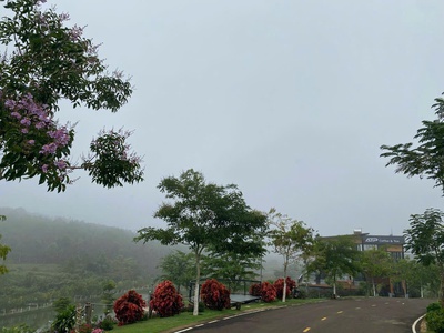 Bán đất Lộc Tân, Bảo Lâm 5