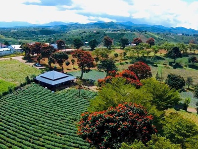 Bán đất Lộc Tân, Bảo Lâm 6