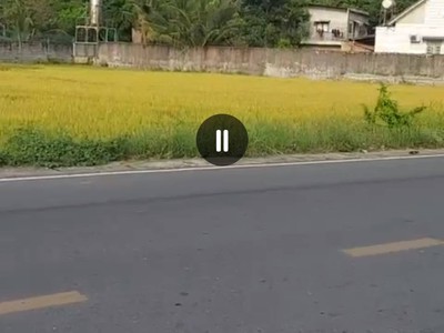 Siêu hót mới về, chính chủ chỉ có. duc hoa long an     đất full thổ cư mt đường nhựa xây dựng tự do 0