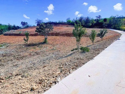 Cần bán lô đất đẹp xã đông thanh, huyện lâm hà, lâm đồng. 3