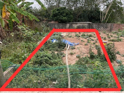 Bán đất lấy tiền cưới vợ, ngõ oto đỗ cửa thuận tiện đi lại gần trục đê thanh oai 0