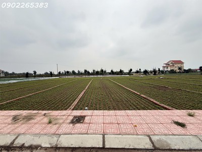 Chủ cần tiền bán nhanh lô đất có tiềm năng sinh lời cực cao đối diện bãi tắm thị trấn quất lâm 1