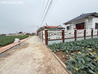 Chủ cần tiền bán nhanh lô đất có tiềm năng sinh lời cực cao đối diện bãi tắm thị trấn quất lâm 0