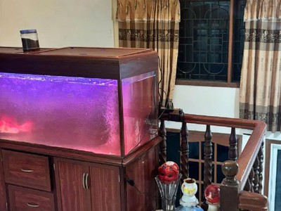 Mua nhà mới cần bán nhà p. vũ tông phan tx   5 tầng   40.5m2- mt 3.8m- giá chỉ 4.2 tỷ 1