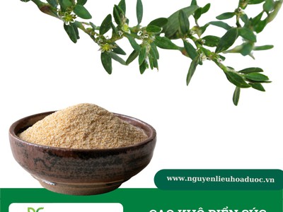 Cao khô biển súc - Vị dược liệu quý giúp lợi tiểu, kháng viêm 0