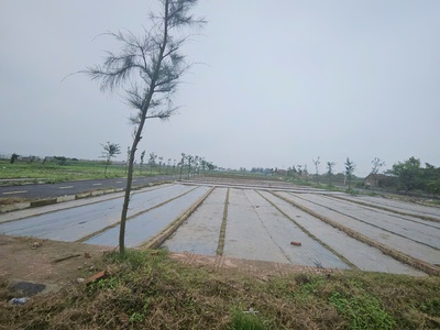 Bán đất nền ven biển, vị trí đắc địa, tiềm năng sinh lời cao, phù hợp đầu tư lâu dài 0