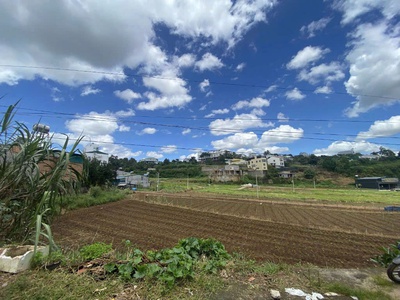 Chính chủ cần bán: gấp lô đất tại thị trấn liên nghĩa- huyện đức trọng- tỉnh lâm đồng 1