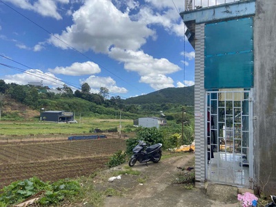 Chính chủ cần bán: gấp lô đất tại thị trấn liên nghĩa- huyện đức trọng- tỉnh lâm đồng 2