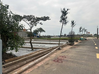 Đất vàng biển quất lâm - cơ hội đầu tư siêu lợi nhuận 0