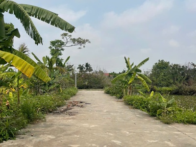 Hàng ngon siêu phẩm tại Hợp Đức, Đồ Sơn, Hải Phòng 96m 1