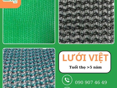 Lựa Chọn Lưới Việt - Sự Lựa Chọn Tốt Nhất 3