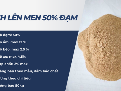 Nành Lên Men 50 Đạm dfghj 0
